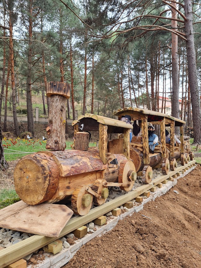 El bosque mágico de Fuente del Pino donde habitan hadas, gnomos y