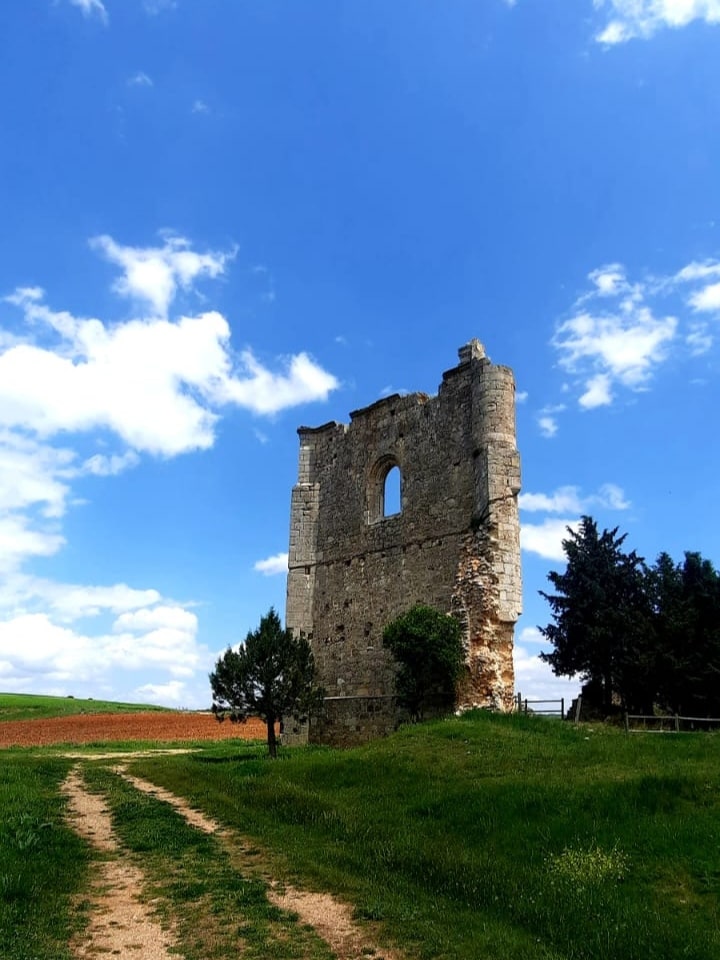 Ruinas Monasterio de Guijosa