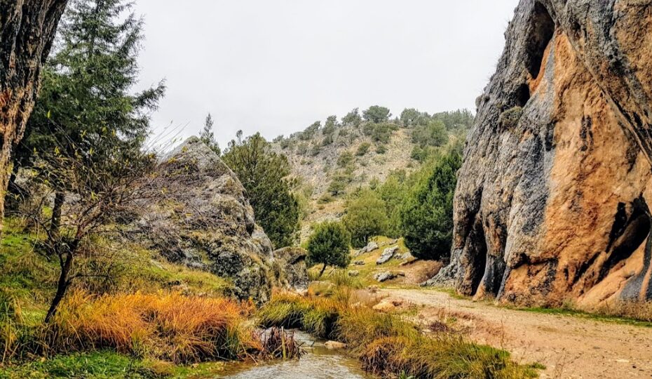 Las maravillas entre Pinares y la ribera del Duero soriana